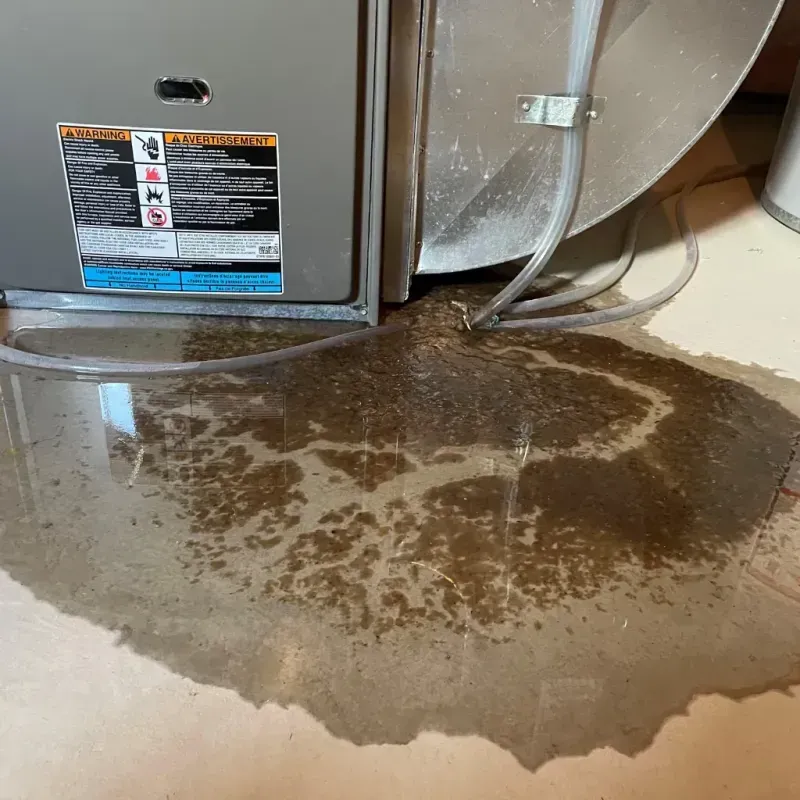 Appliance Leak Cleanup in Malverne, NY